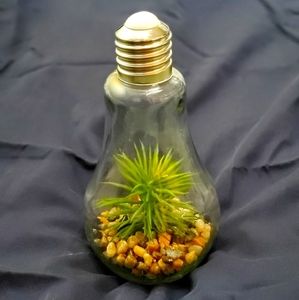 Light up Terrarium decor